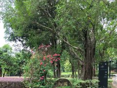 -福建鲤鱼洲酒店