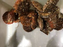 -蟹谢蒸鲜自助餐厅