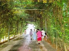 -小洋口旅游度假区
