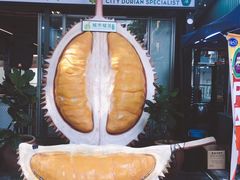 -都念榴莲·城市榴莲