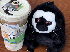 -ZOO COFFEE动物园咖啡(红山森林动物园店)