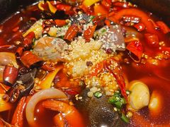 -雀蓝川菜(奥体广场店)