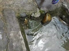 -海窝子古镇