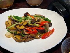 -滇野云南野生菌餐厅(陕西南路店)