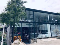-桉树林A coffee 森林餐厅(三圣乡店)
