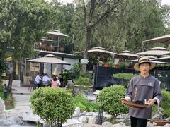 -蘇河湾·新鲁菜·泰山宴(泰山店)