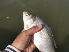 -酷鱼垂钓CLUB(朝阳区博大路店 )