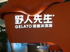 -野人先生现做冰淇淋(北京王府井东方新天地店)