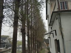 -状元楼(金溪路店)