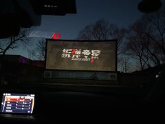 -枫花园汽车电影院(朝阳公园店)