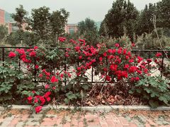 -山东大学(兴隆山校区)