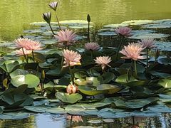 -国家植物园南园