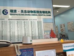 -瑞派·关忠动物医院·异宠专科·犬猫肿瘤·皮肤专科(望京店)