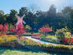 -上海共青森林公园