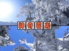 -尧山风景区