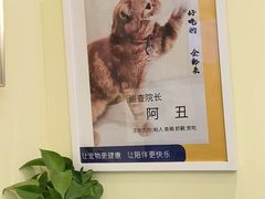 -美迦爱动物医院·夜诊(朝阳路诊疗中心)