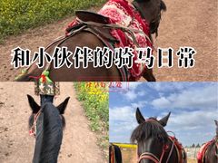 -扁都口生态休闲旅游区