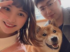 -喜柴咖啡·柴犬狗咖