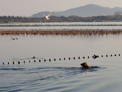 -渤公岛生态公园