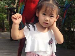 -呀诺达热带雨林