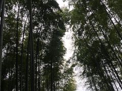 -维乐口腔医院(福清院)