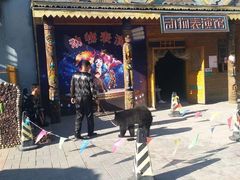 -呀路古热带植物园