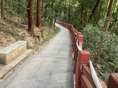 -南国桃园旅游度假区