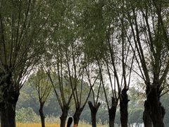 -艾溪湖湿地公园