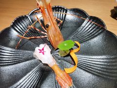 牡丹虾-初花·日本料理