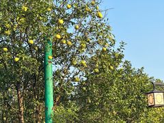 -军山湖云水间生态农业旅游景区