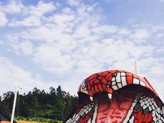 -青鱼湾水上乐园