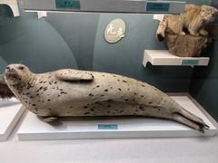 -国家自然博物馆