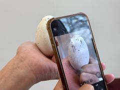 -丽泽山庄·生态怀柔菜·虹鳟鱼(红螺寺店)