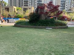 -苏州河梦清园环保主题公园