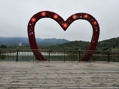 -田野绿世界