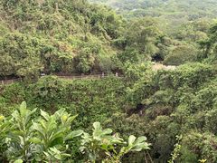-海口火山口国家地质公园