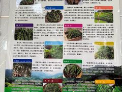 -横道佛手居筋饼店