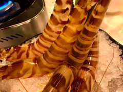 -鲜入围煮花胶鸡海鲜火锅