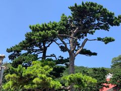 -妙峰山风景名胜区