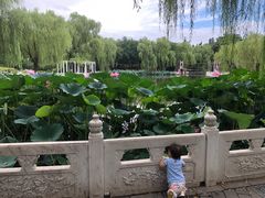 -丰台花园