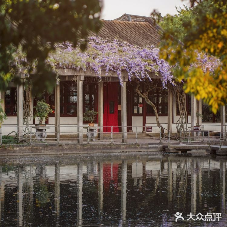 苏州最安静的紫藤花赏花点！
