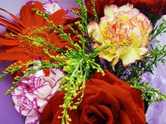 -全聚德(哈尔滨店)