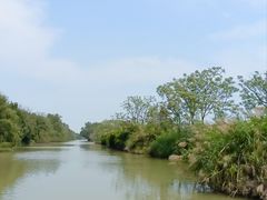 -大湾区中央湿地公园