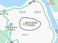-南山植物园