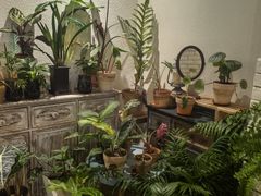 -坦克·甜品店(莲花广场店)