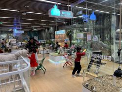 -小象动悟公园(龙湖亦庄天街店)
