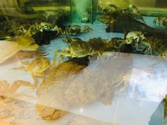 -旺顺阁海鲜广场(亚运村店)