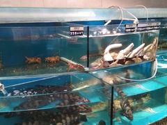 水产区-百纳·锦绣江南 (百纳瑞汀酒店)