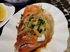 大东星斑-舒友海鲜姿造(白鹭洲店)