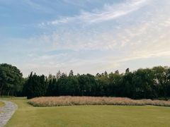 -上海滨江森林公园